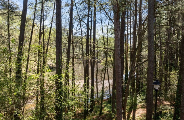 Luxury Condo near North Hills