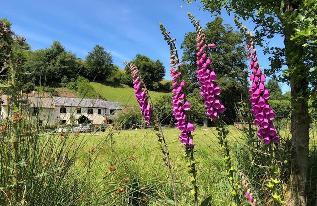 Luxury Exmoor Barn conversion with Sauna