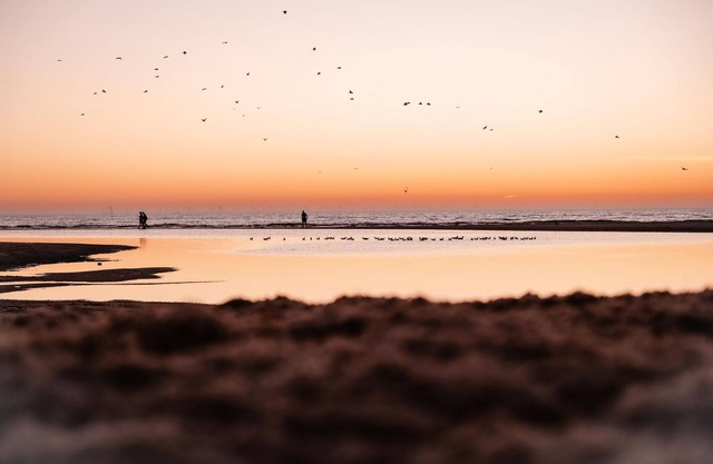 Luxury hotel room with view of and near the beach