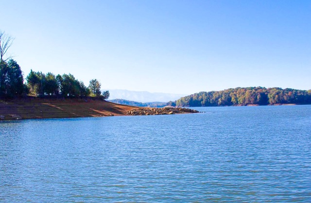 Luxury lakefront cabin with free attraction tickets, fire pit, dock & deck