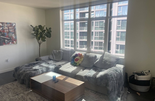 Luxury Penthouse Downtown Denver
