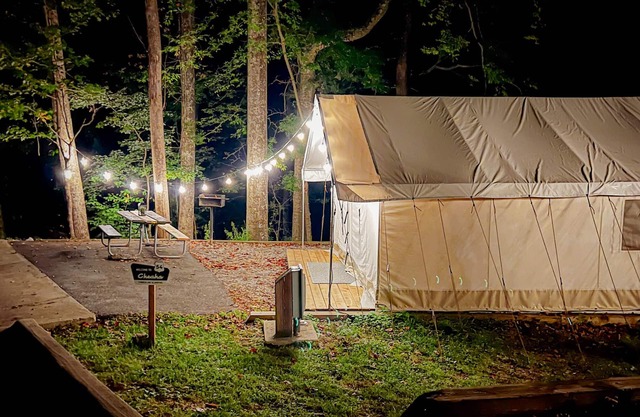 Luxury Spacious Glamping, Lake View, Grill, Pool, Pet Friendly, Swim