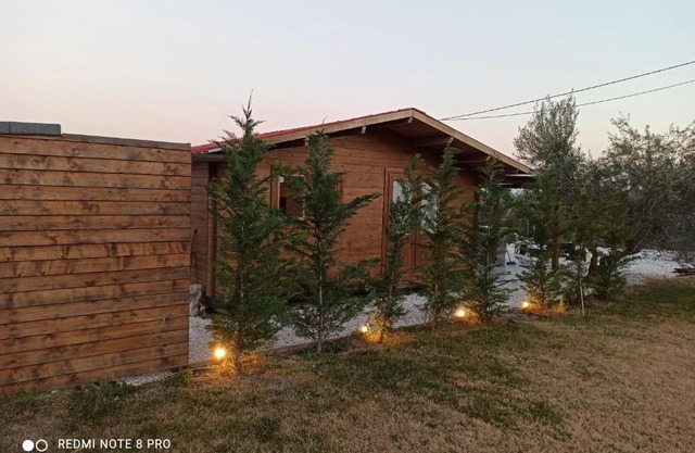 luxury wooden house