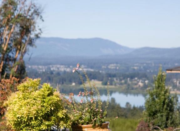 M&M's Maple Bay Mountain Guesthouse