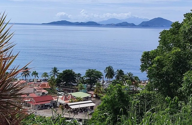 magnificent view of the marina and the islands