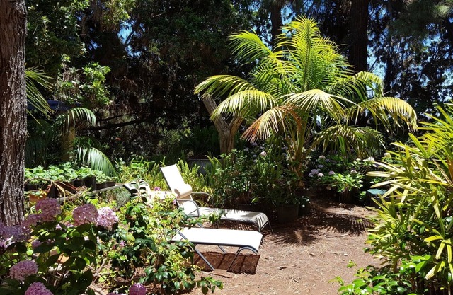 Magnificient Colonial Manor with a lovely garden