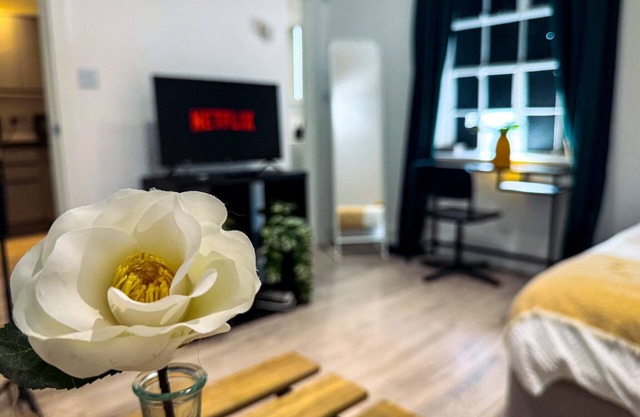 Maidstone-TownCenter-WiFi-2BR-Parking-CityViews