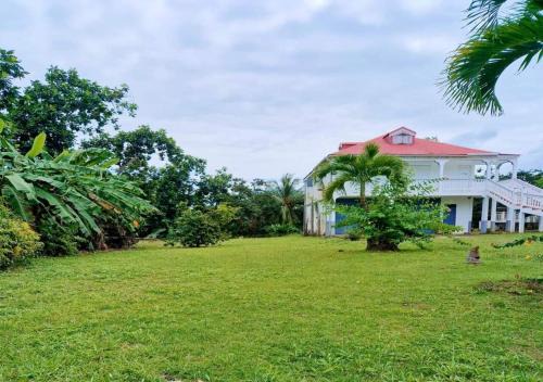 Maison cosy en pleine nature