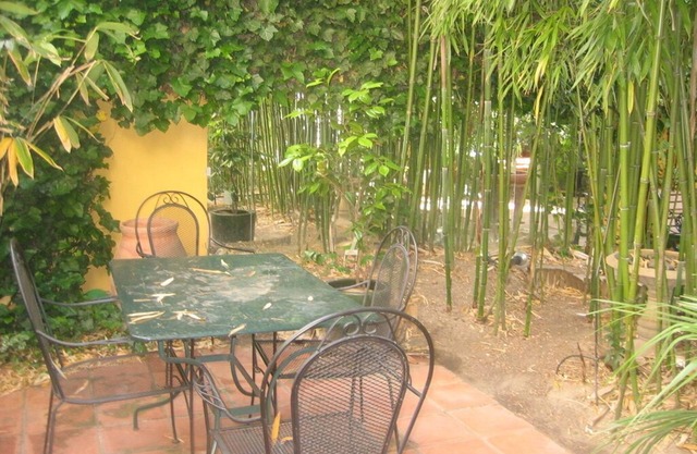 Maison D'artiste Avec Bambouseraie Enchanteresse aux Portes de Paris