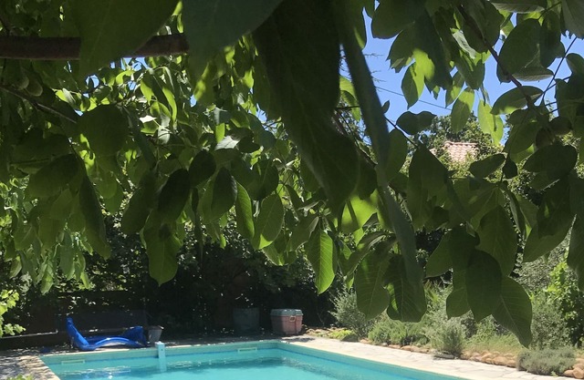 Maison Piscine Privative Dans Grand Jardin