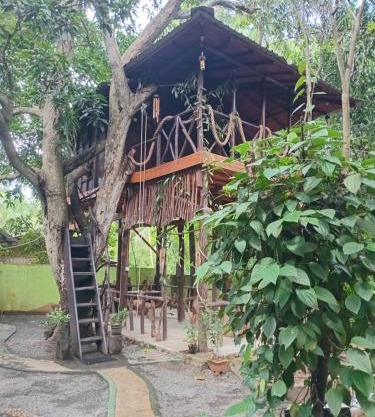 Mango Tree Hut udawalawe