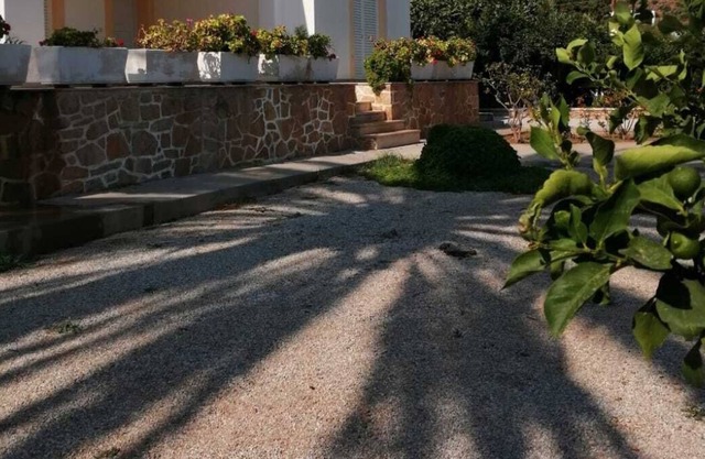 Marianna's Apartment in Alinda Leros