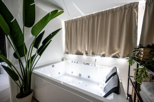 Mariarita's Suites