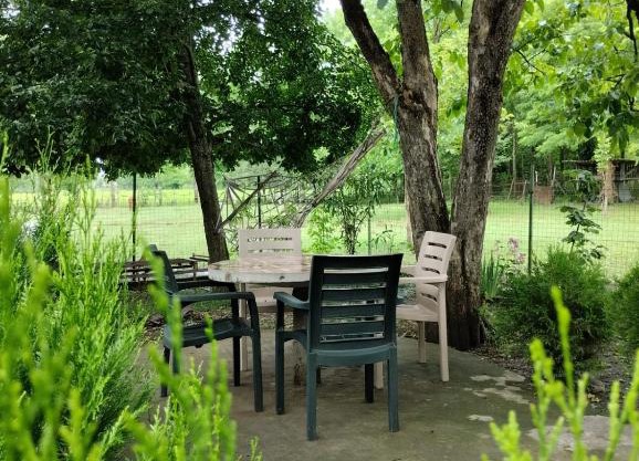 Martvili Guesthouse