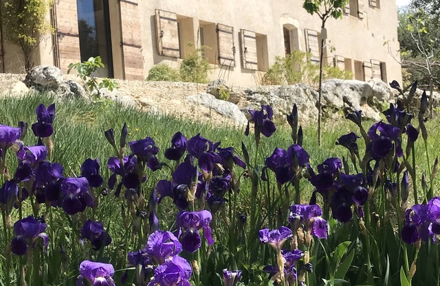 Mas in Provence with exceptional views of the Luberon