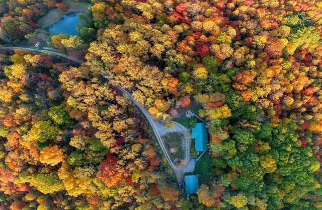 Master Sculptor's Art Lodge Retreat-Hocking Hills