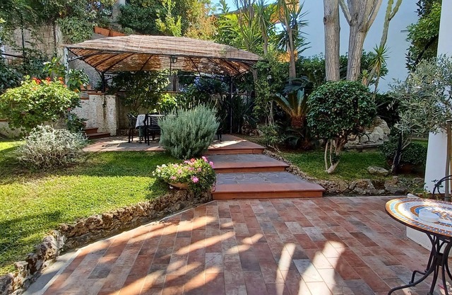 Mediterranean garden