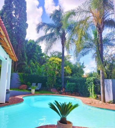 Mediterranean Palms