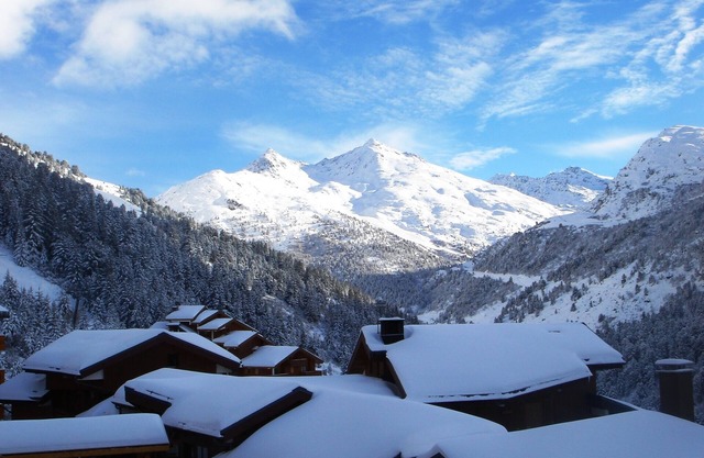Meribel,on the slopes, Beautiful and spacious apartment in a 4* residence,12per