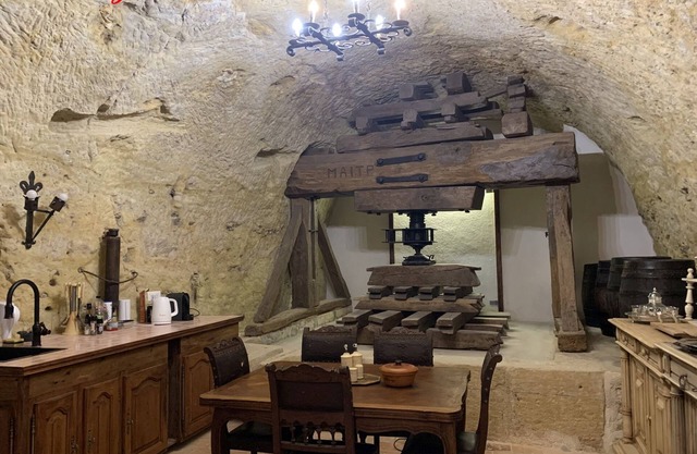 Michelangelo at our 'Clos Lussault' near Amboise in the Loire Valley