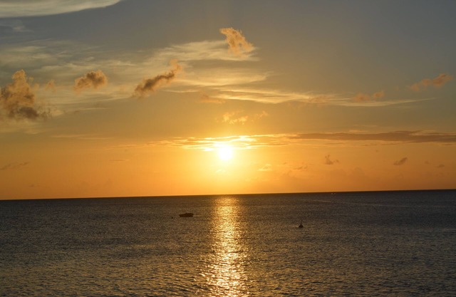 Middle Country, the recipe for happiness !