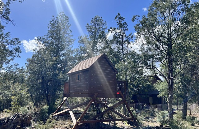 Miles of National Forest in Backyard - Cozy Cabin in Seclusion