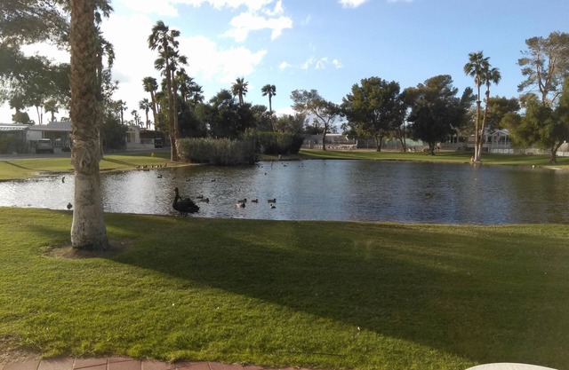 Mineral Hot Springs Resort Home on Water (small lake)