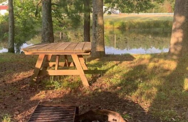 Mini Cabin 2 Near Ocean City & Assateague On catch and release fishing lake