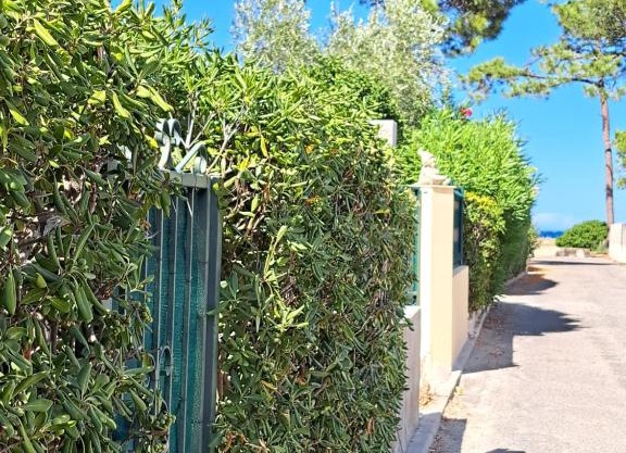 Mini villa jardin 50 m plage