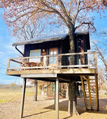 Mockingbird Treehouse 15 MIN to MagnoliaBaylor