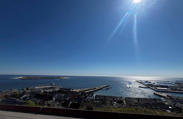Modern apartment with a wonderful direct view of the dune and North Sea