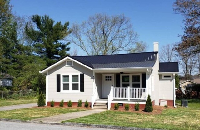 Modern Bungalow less than a mile from downtown Hendersonville