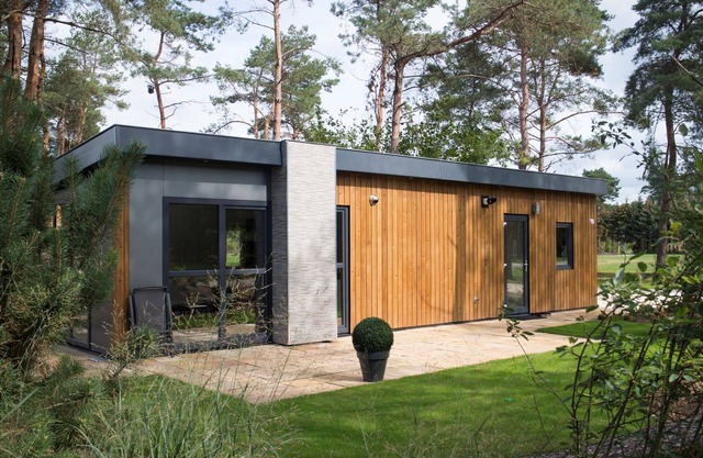 Modern chalet near De Veluwe National Park