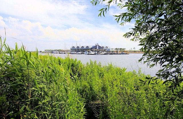 Modern design lodge with combi microwave