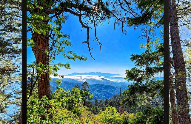 Modern Family Cabin in Arrowbear Lake Running Springs minutes to Snow Valley