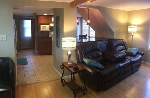 Modern One Bedroom Apartment 35 miles to Chicago