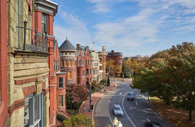 Modern Treetop Oasis in Historic Home on Logan Circle.