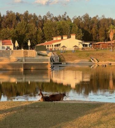 Monte do Lago, Pegões