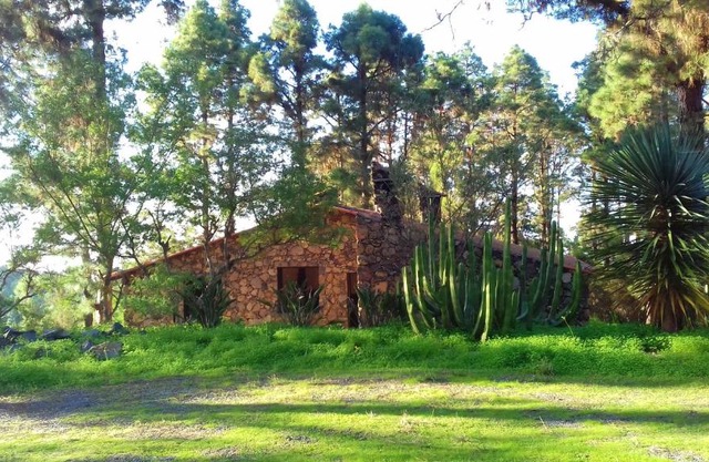 Monte frio de Tenerife