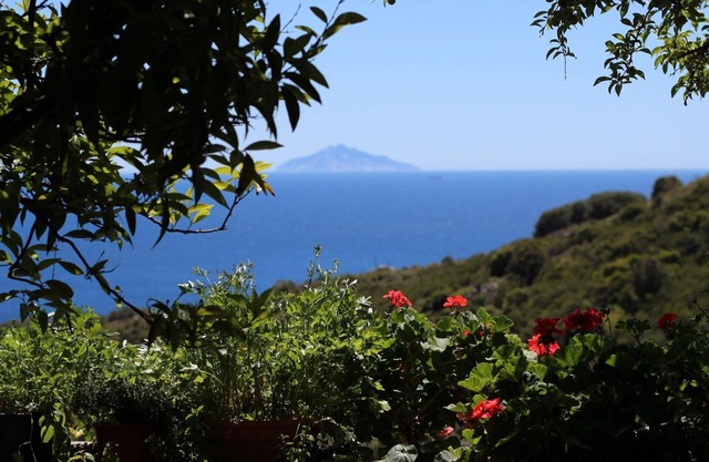 Montecristo two-room apartment.Terrace