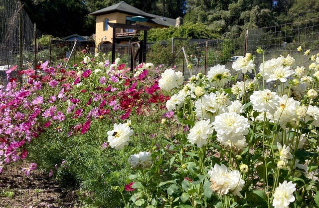 Monterey Bay Farm Retreat! Best access to Monterey & Santa Cruz attractions.