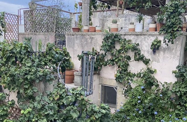 MOREBNB - Seventeenth-century residence in the historic center of Poggiardo