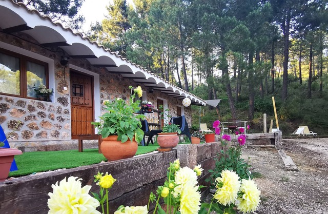 Mountain Chalet Calar Río Mundo Natural Park. Wifi. Independent.