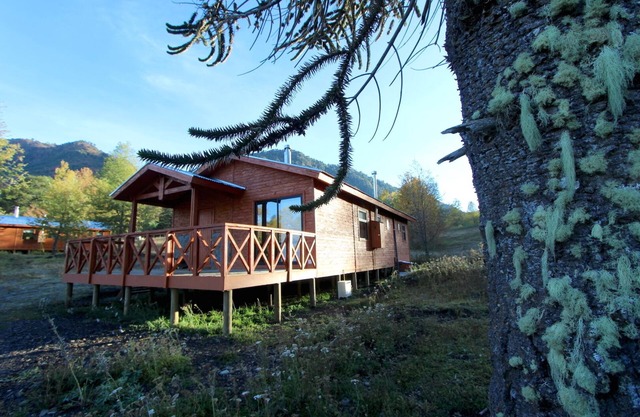 Mountain chalet surrounded by nature