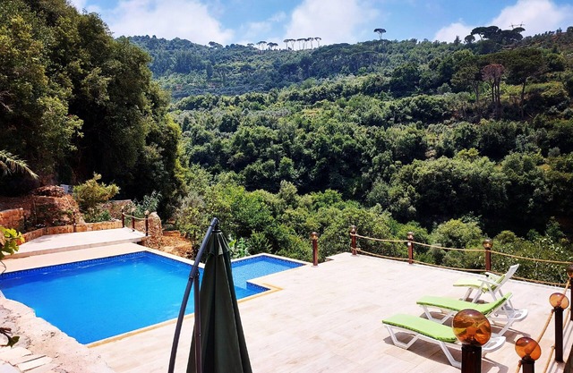 Mountain Pool: a Private Pool and Bungalow in the Middle of the Forest