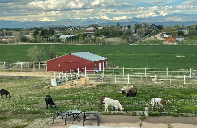 Mountain View Acres Guest Suite