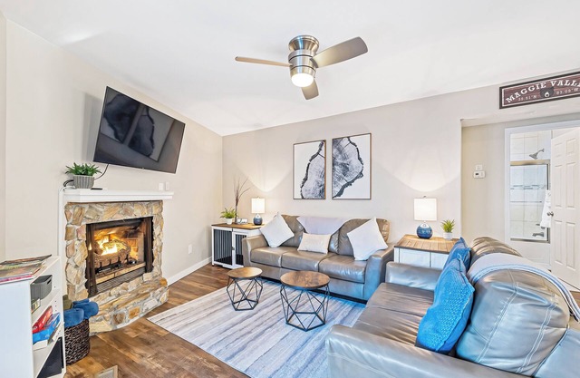 Mountain View! Hot Tub, Beautifully Updated, Fire Pit, Arcade, Foosball, Dogs OK