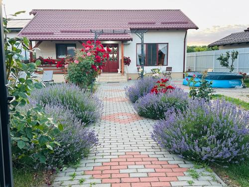 Mountain View House Brasov