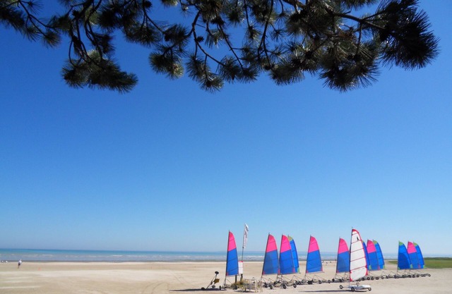 Mt. Bay Saint. MICHEL Eco/BIO accommodation, private sauna. 30 meters from the sea