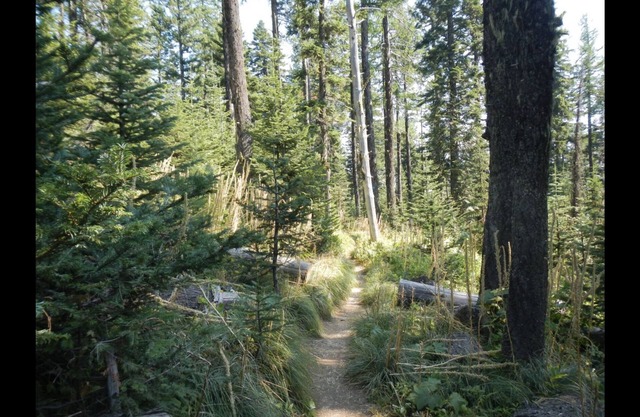 MT. SPOKANE CONDO~W POOL, HOT TUB, WIFI BALCONY & AC~UPDATED STUDIO SLEEPS 4